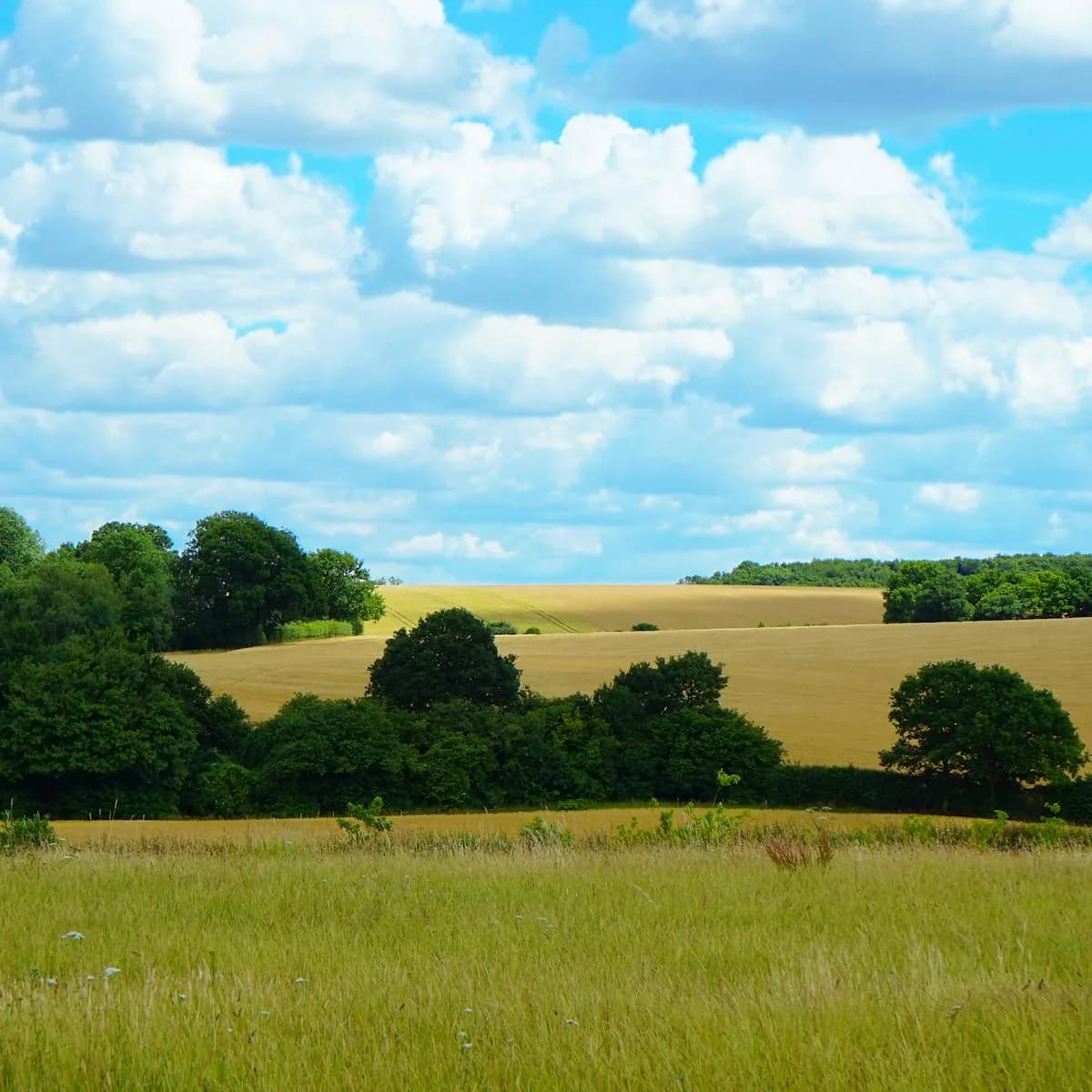 Quiet countryside fields beneath a wide cloudy sky.